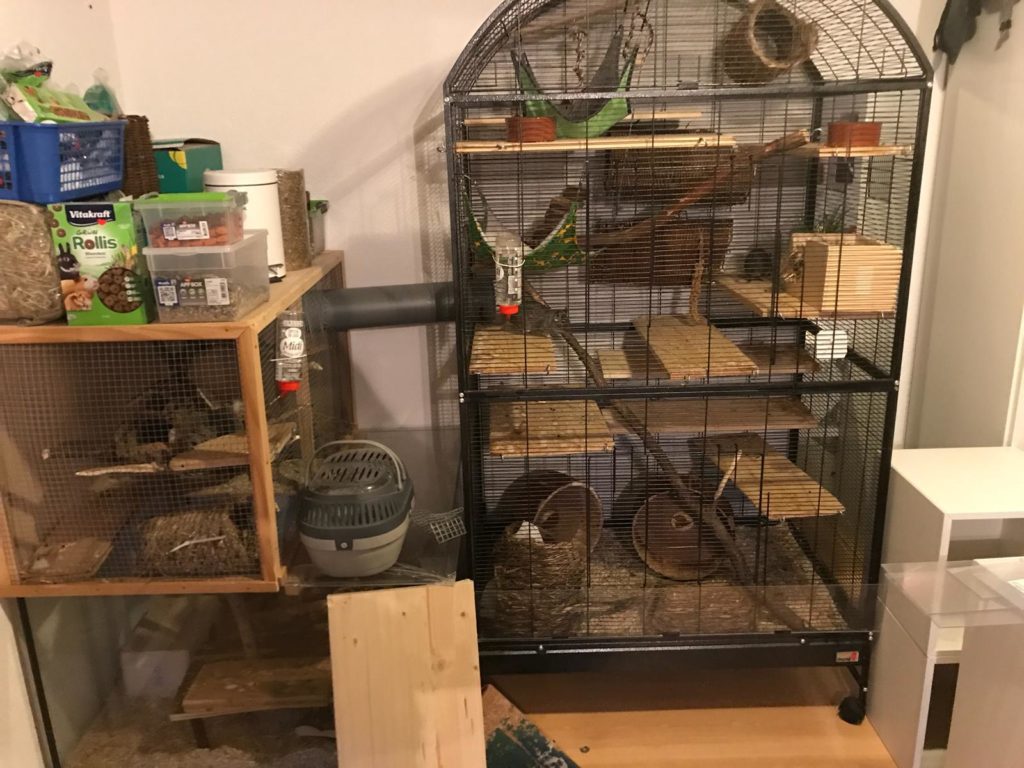 Voliere mit Verbindung zu einem Aquarium