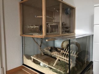 Aquarium mit individuellem Holzaufbau