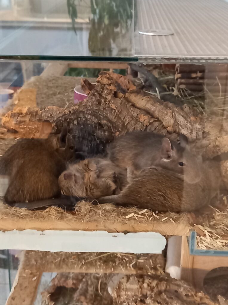 Foto von Andrea K.