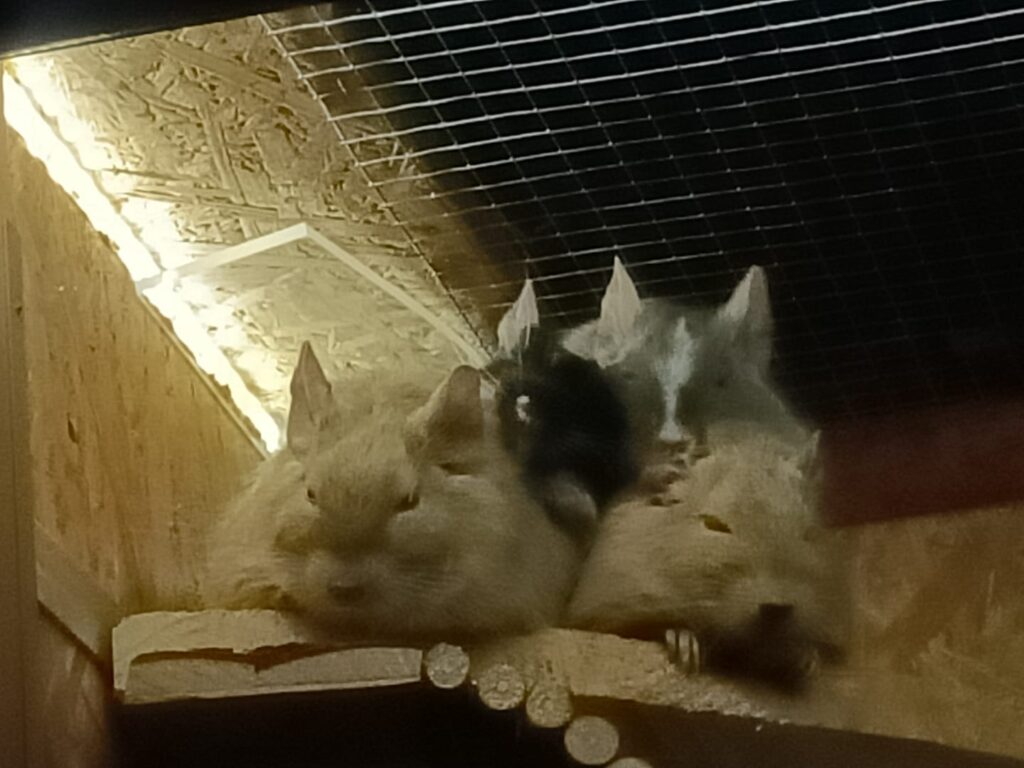 Foto von Susyi S.
