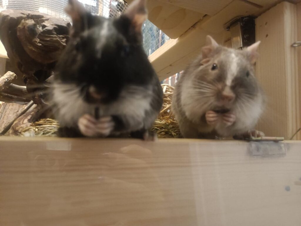 Foto von Susyi S.