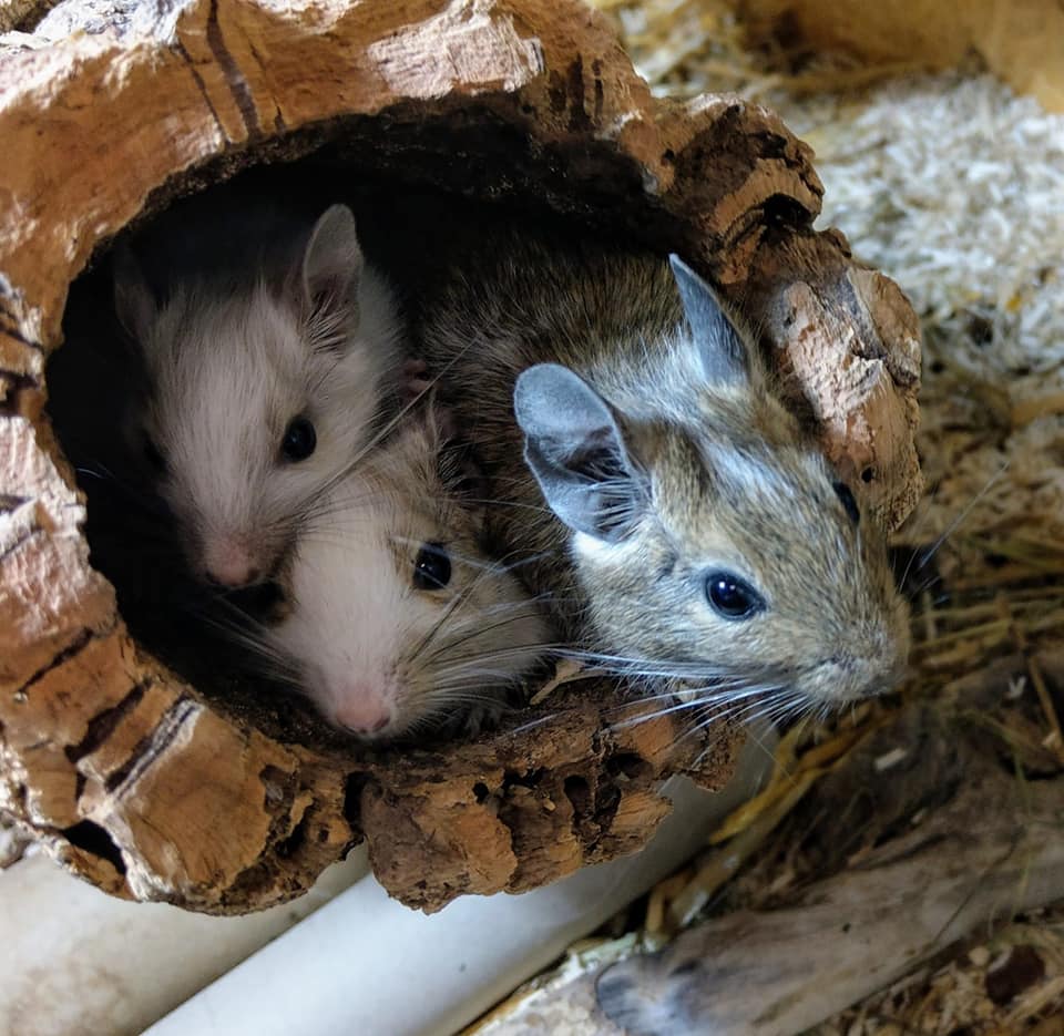 Foto von Alexandra T.