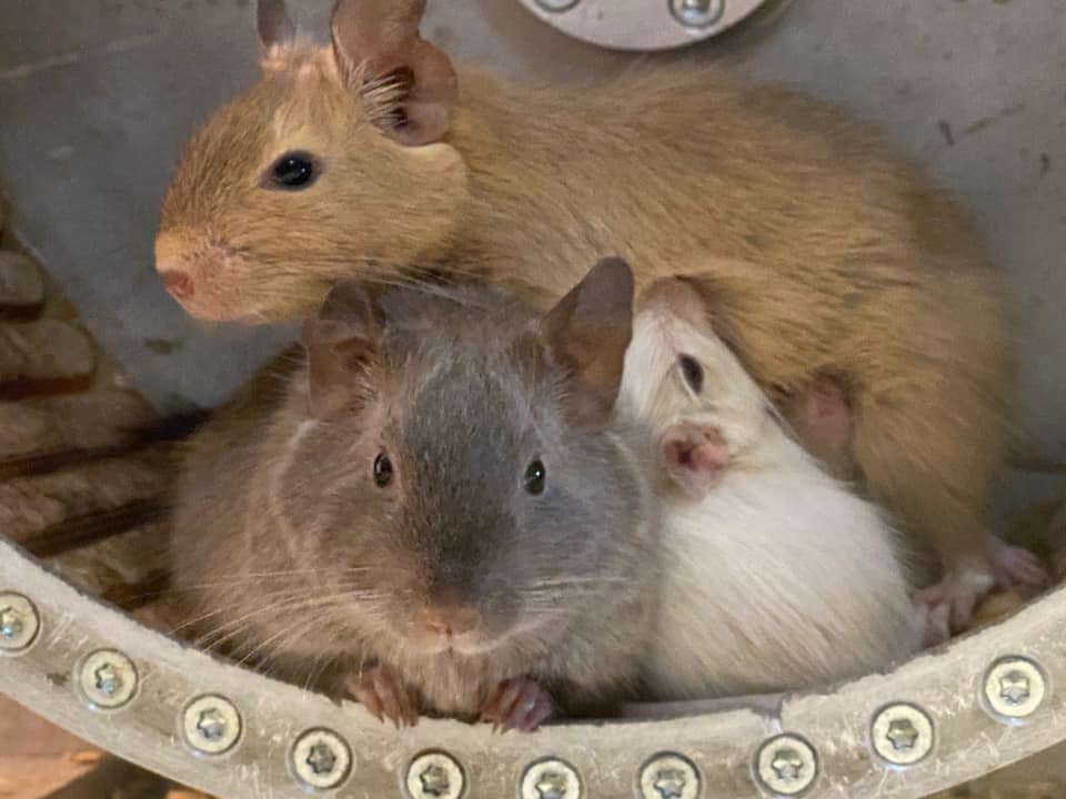 Foto von Alexandra T.