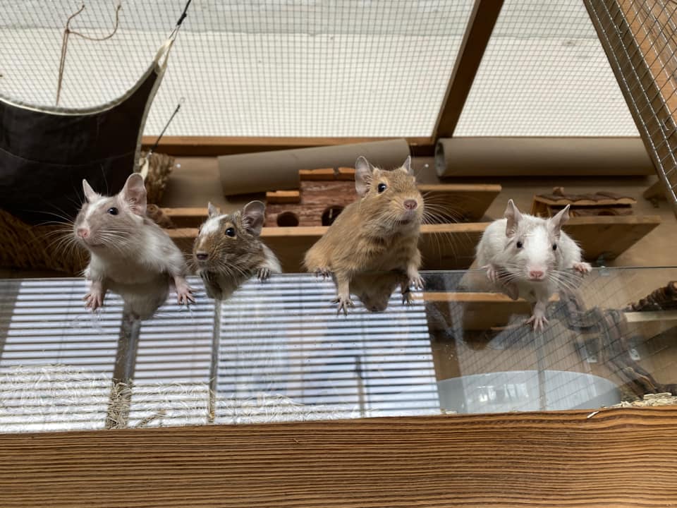 Foto von Malin S.