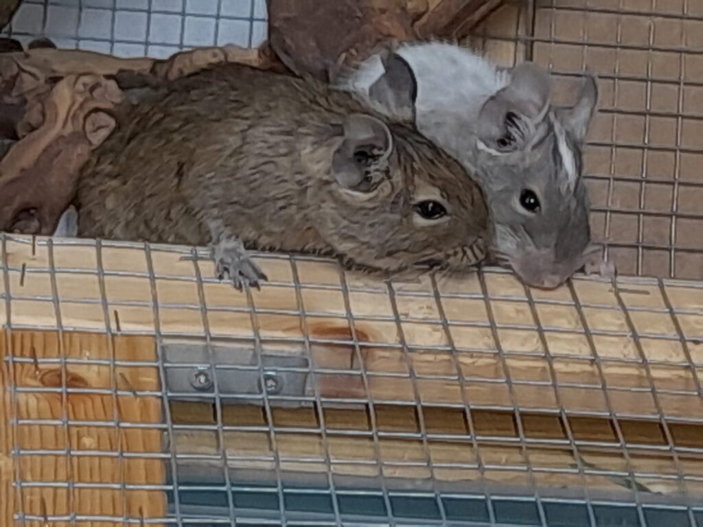 Foto von Elisabeth H.