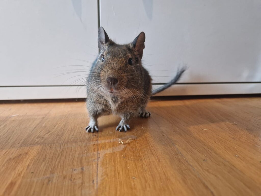 Foto von Vivi von A.