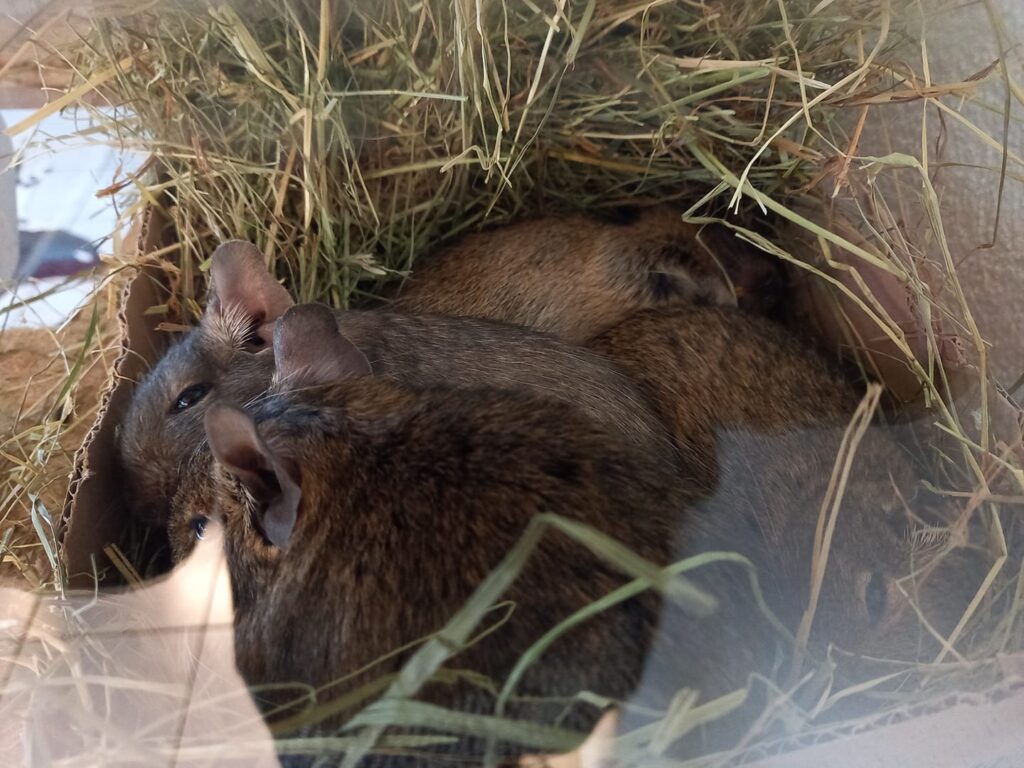 Foto von Andrea K.