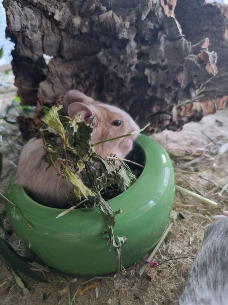 Foto von Bumpaa P.